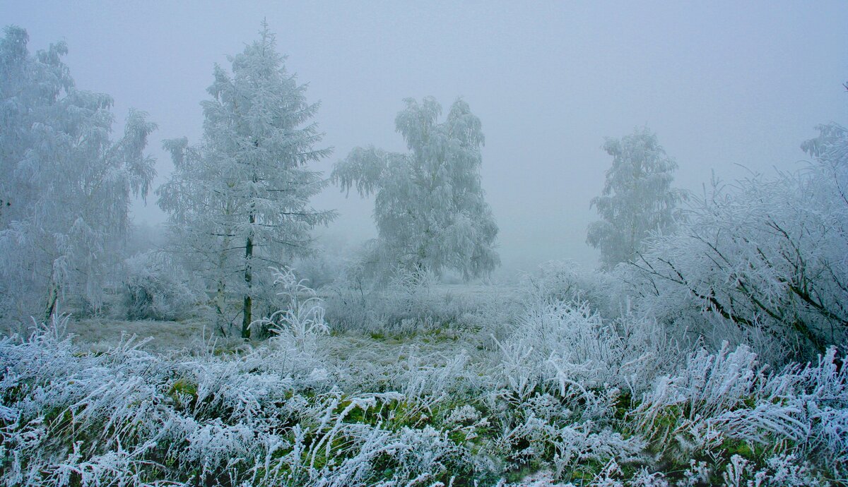 Фотография, стихотворение Василия Глуцкого