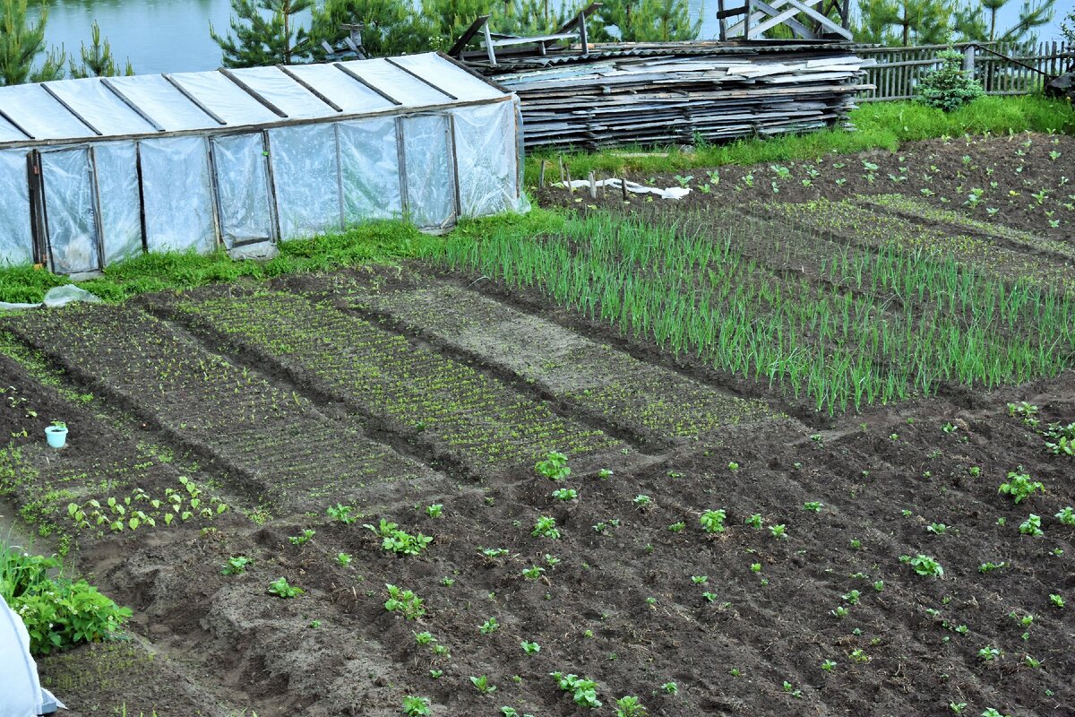 единый участок