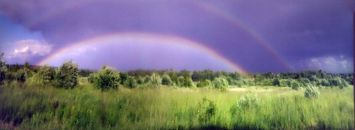 Мои гектары. Фото моё.