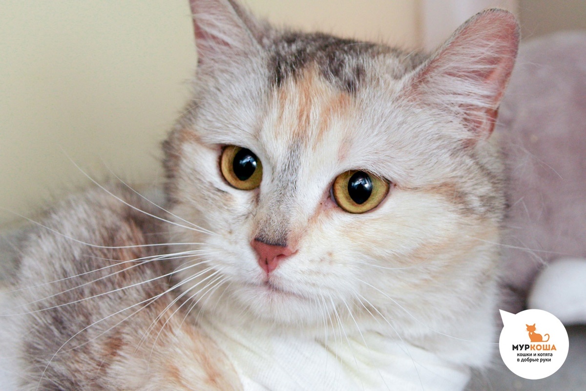 Мечты сбываются!