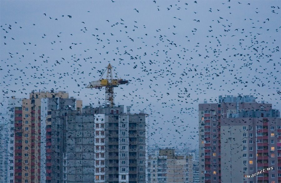 Иллюстрация из открытых источников, размещена в целях декорирования текста