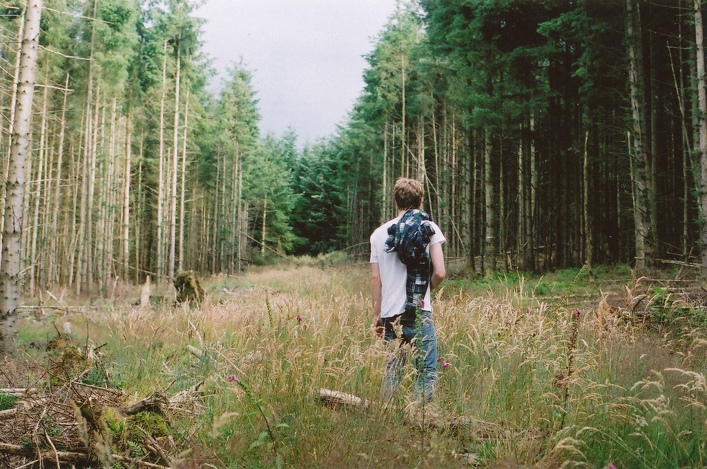 фото из интернета