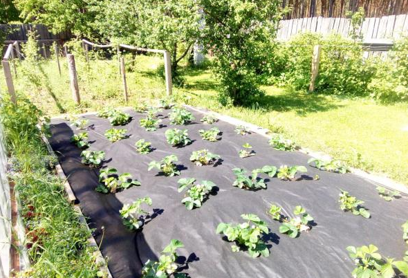 Фото из сайта "otzovik.com"