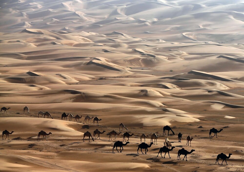 Источник: https://arabmir.net/sites/default/files/field/image/1385475410263075_big_photo.jpeg