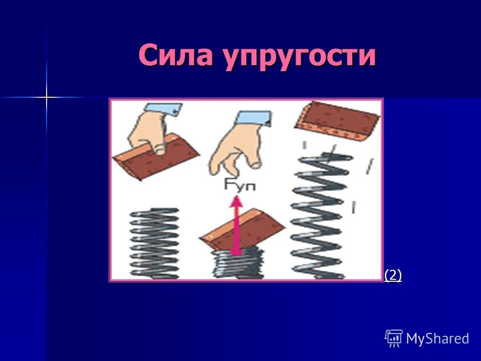 Сила упругости в жизни