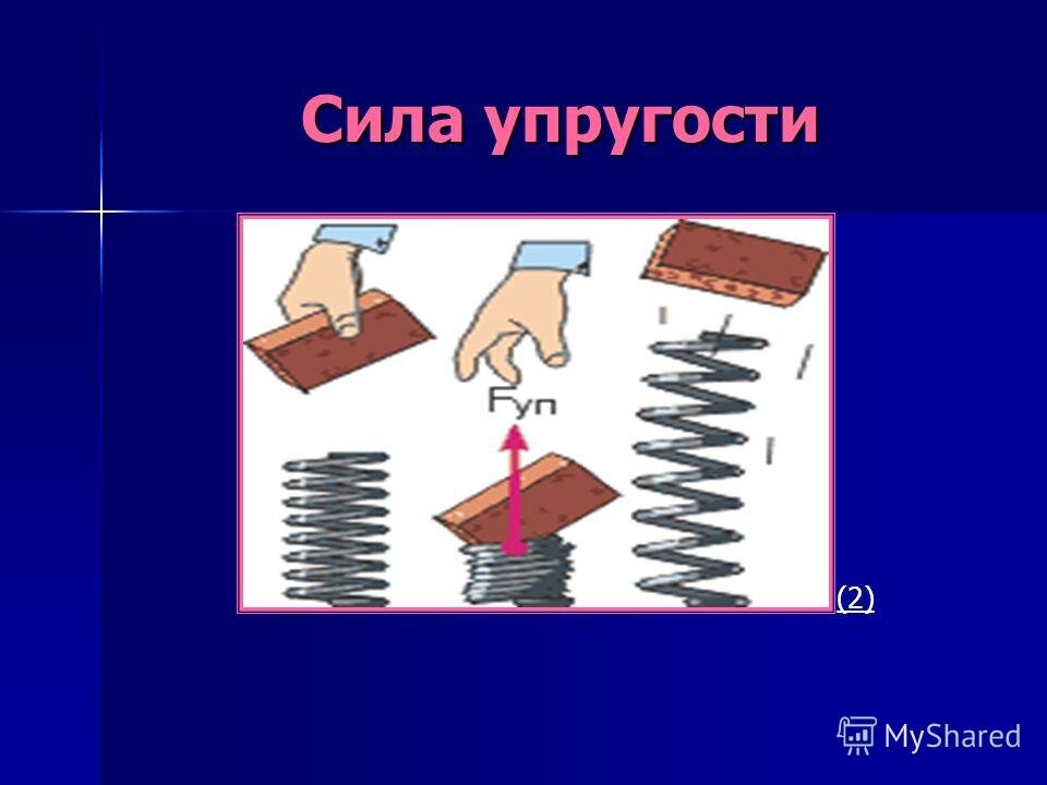 Примеры упругости в природе