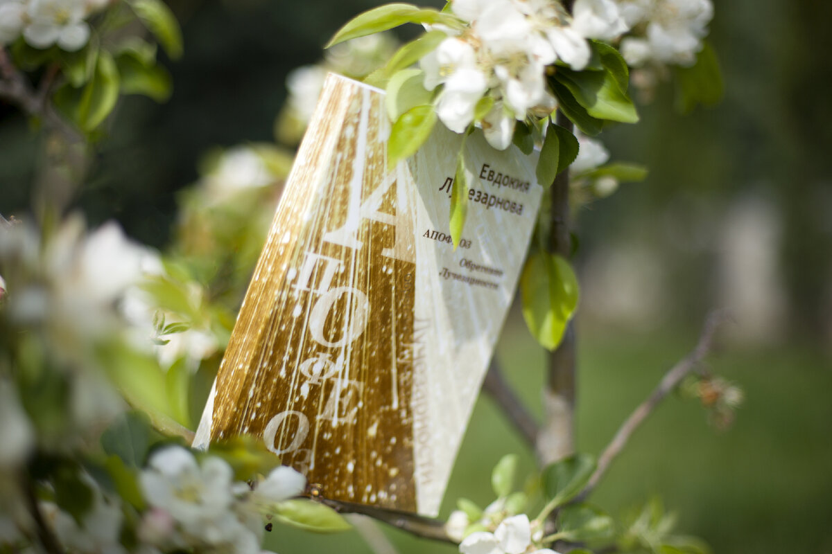 фото из личного архива