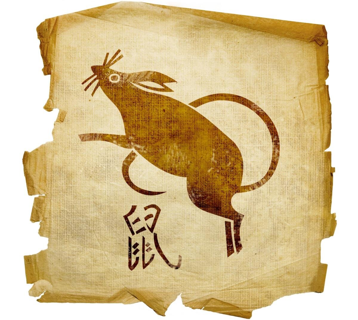 фото из свободного источника