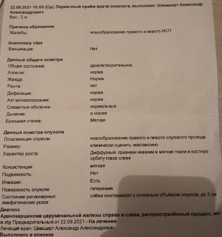 Выписка после приёма