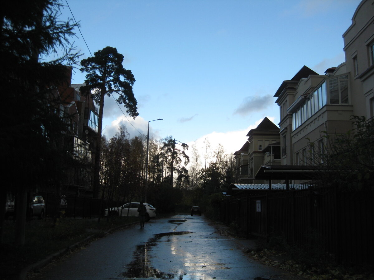 2021 год, СПб, Рябиновая улица