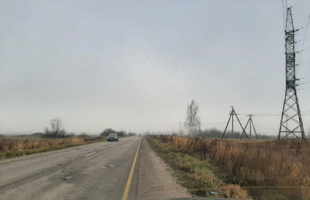 Зима не за горами, а я, как та стрекоза, всё ещё пытаюсь что-то изменить, хотя и поздно