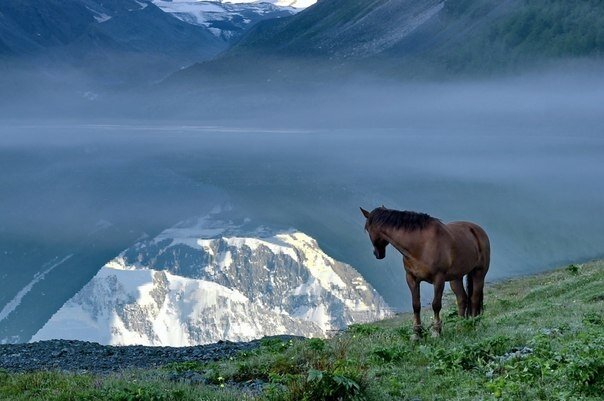 Любимая фотография. Внятная ассоциация.