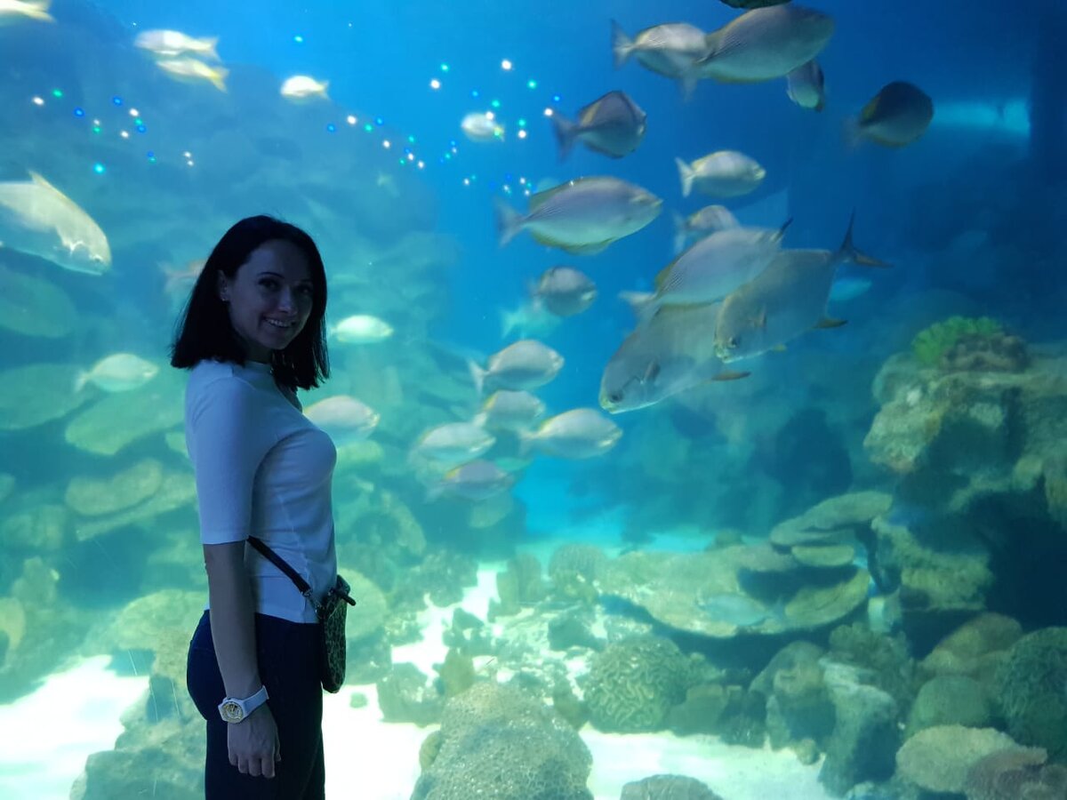 Наконец-то мне открыли границу и я могу свободно путешествовать