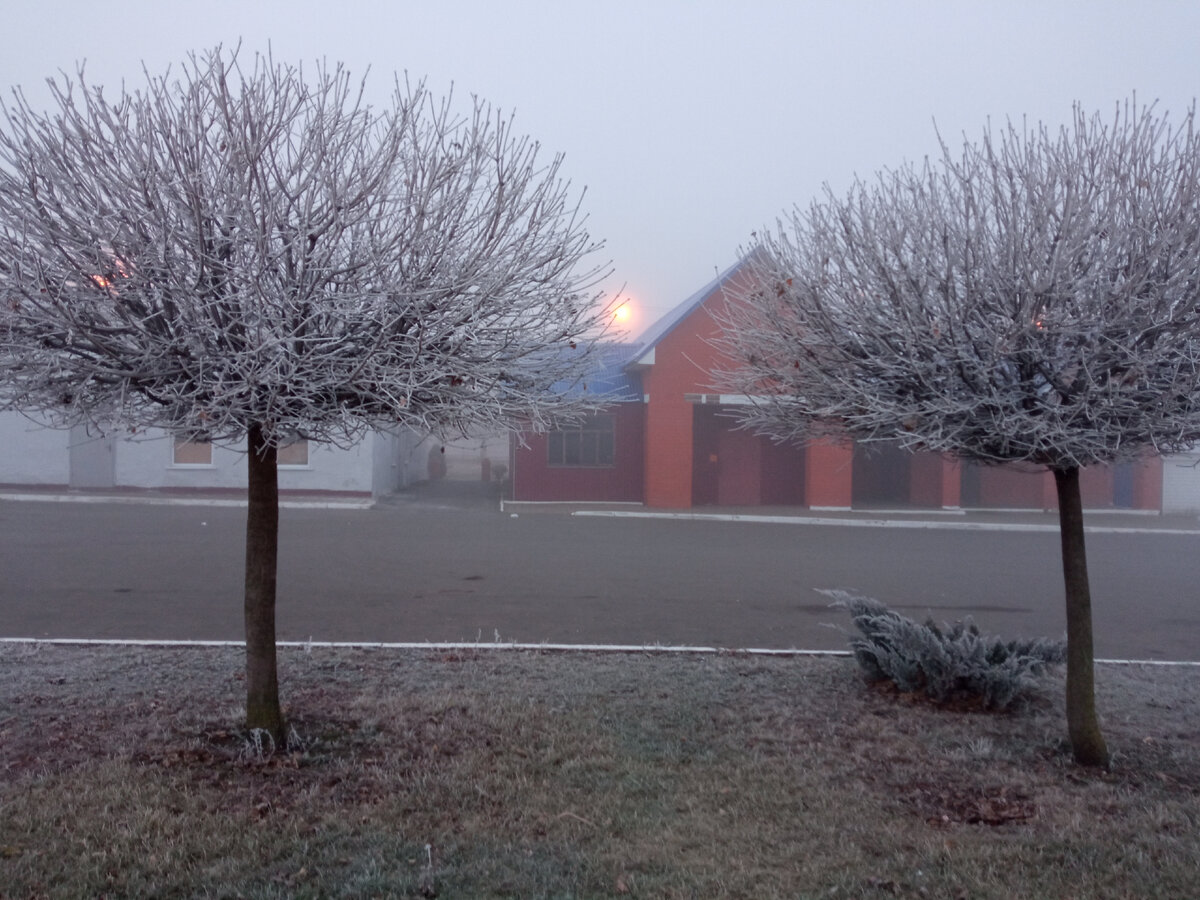 Первые морозные денёчки