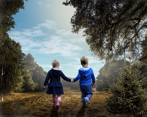 Фото из открытых источников.