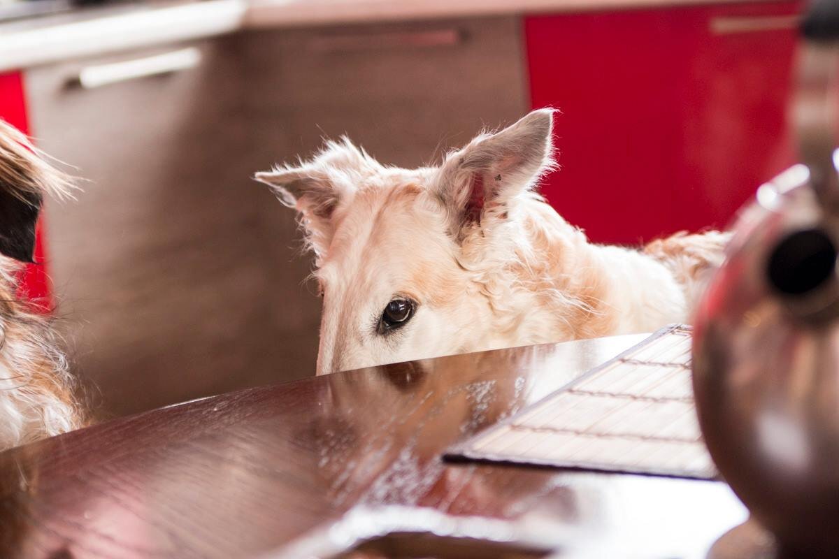 Вижу цель....