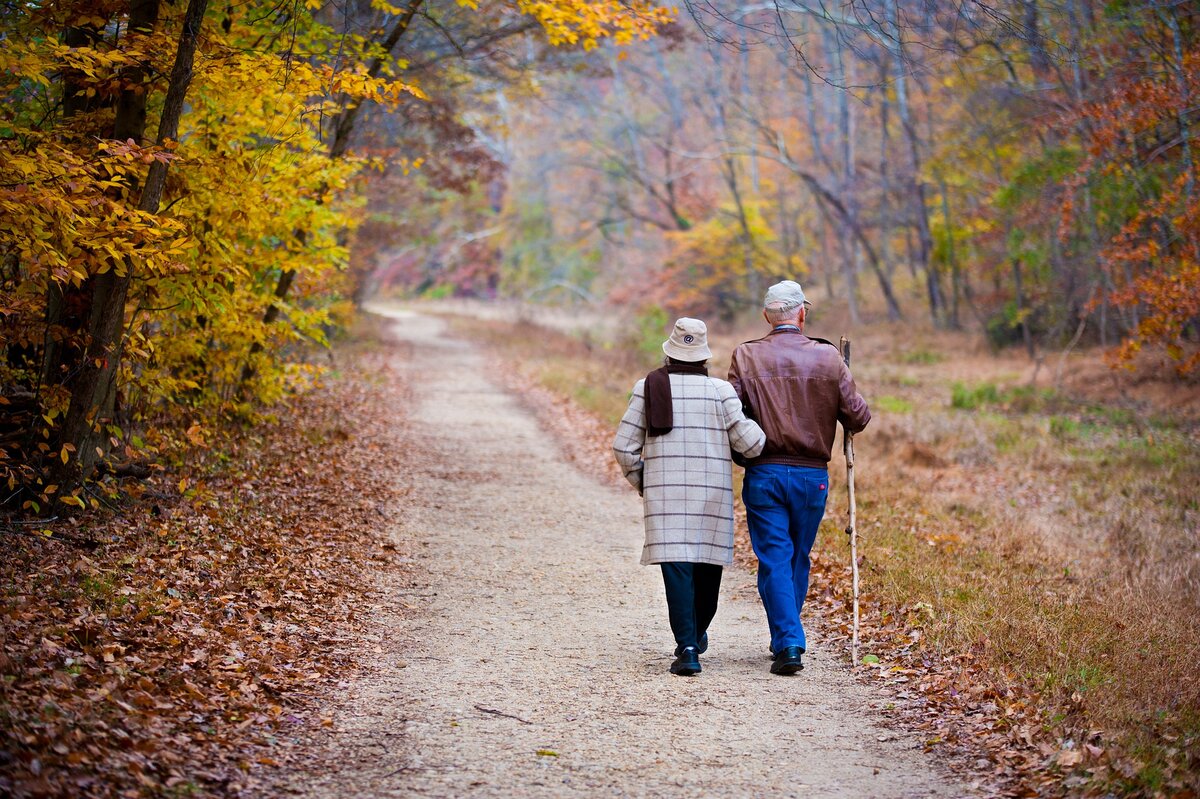 Давно заметила, что некоторые люди еще до выхода на пенсию выглядят глубокими стариками, длительно и часто болеют.