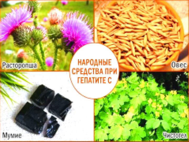 Народные средства при гепатите