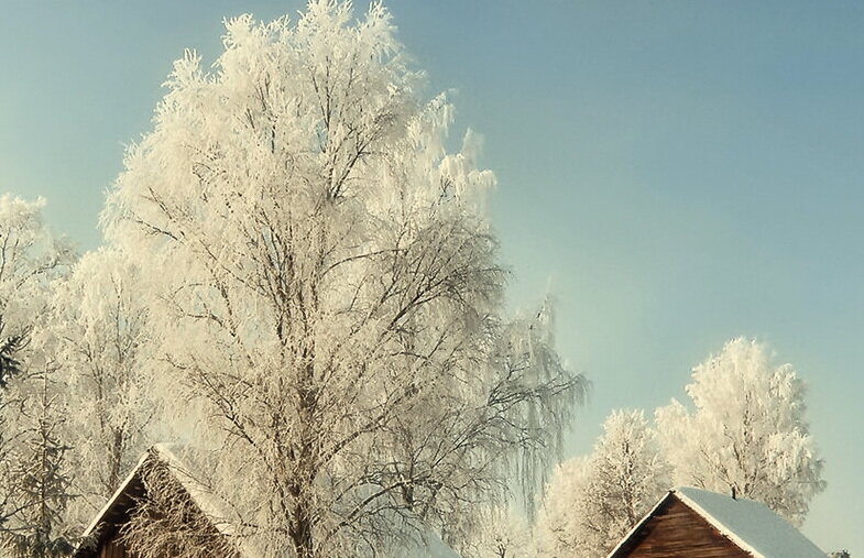 Фото добавлено из Яндекс картинки