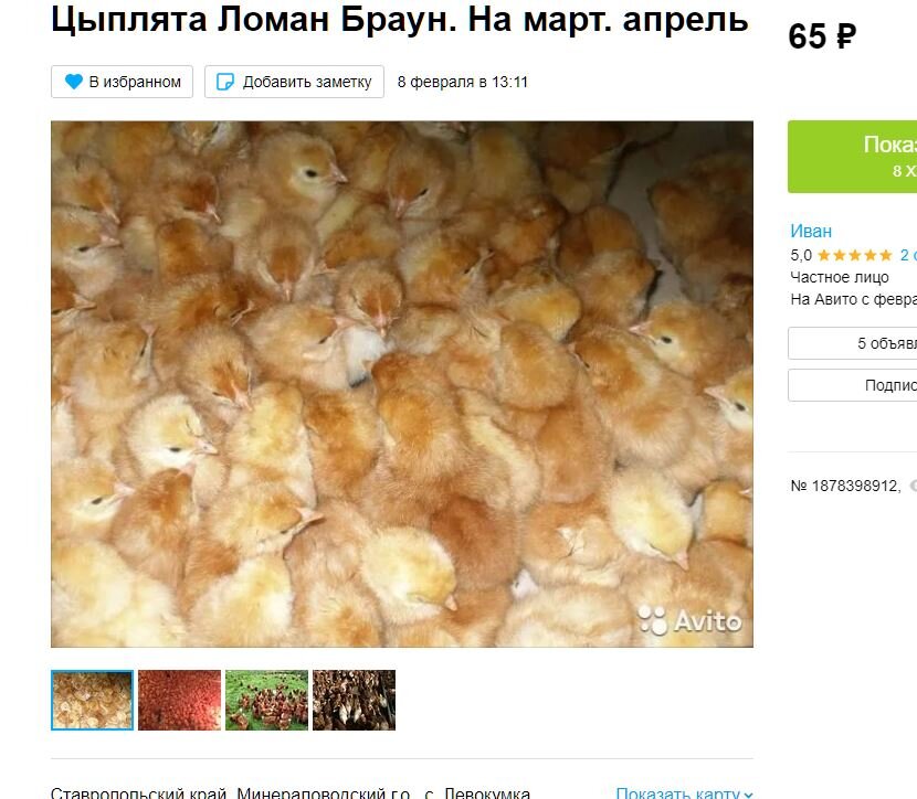 Обещают 100% курочек