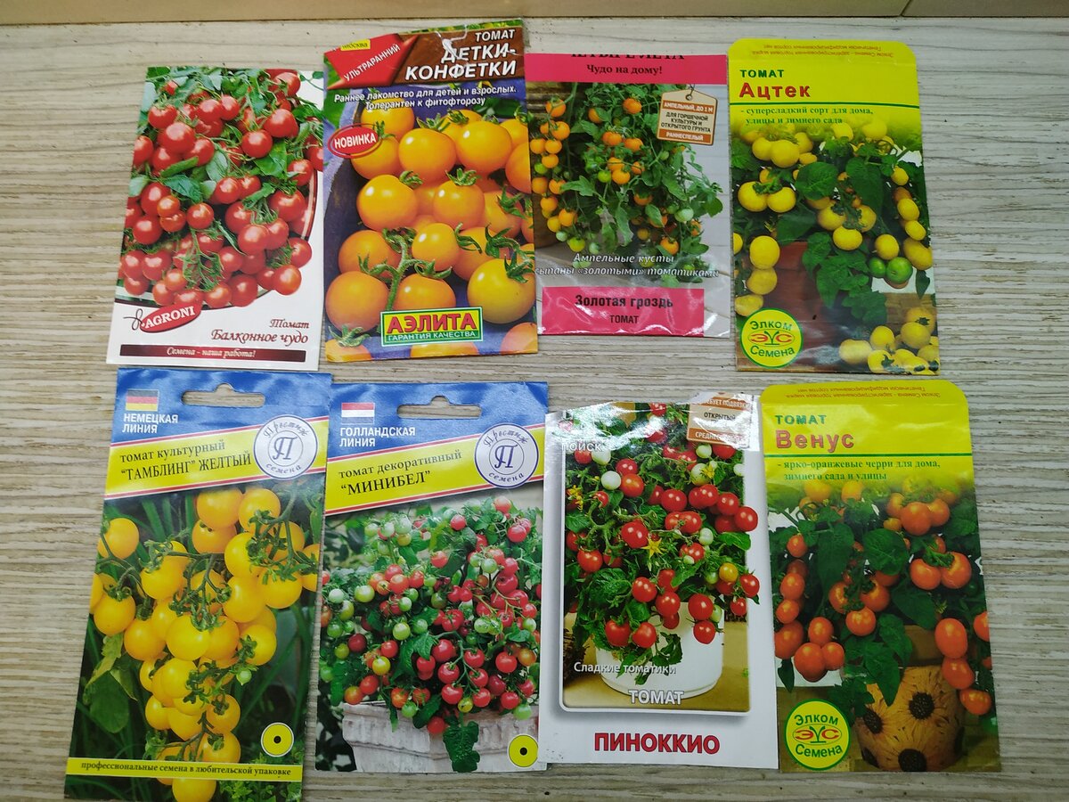 Сорта томатов для дома.