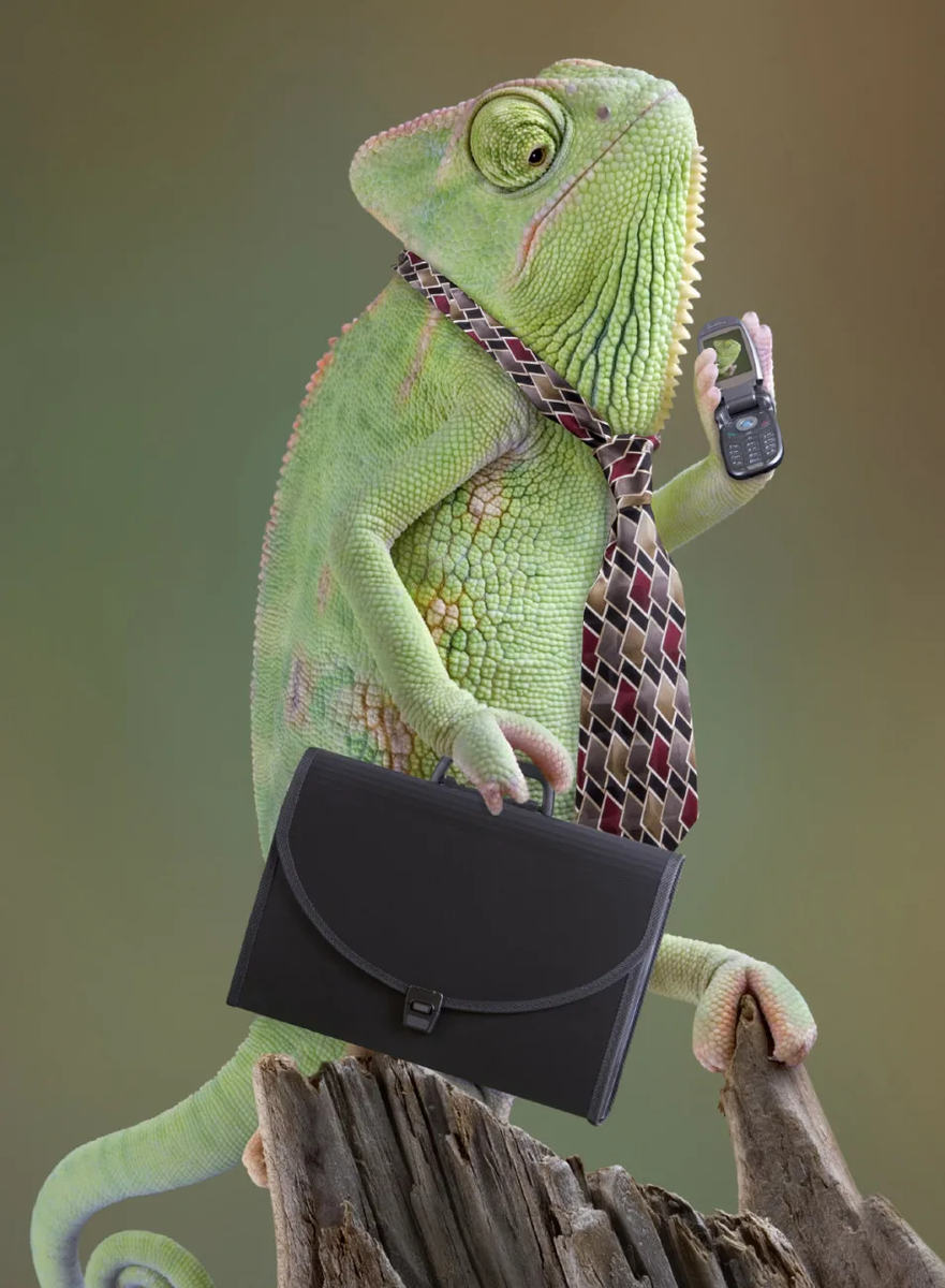 Итак, будем серьёзными. Поехали!