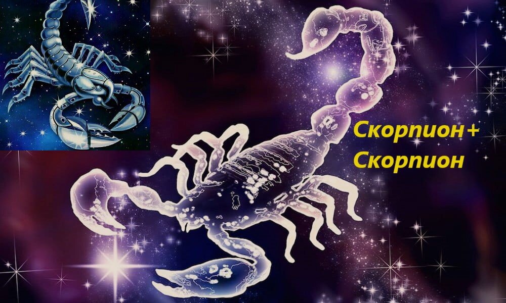 Скорпион и скорпион