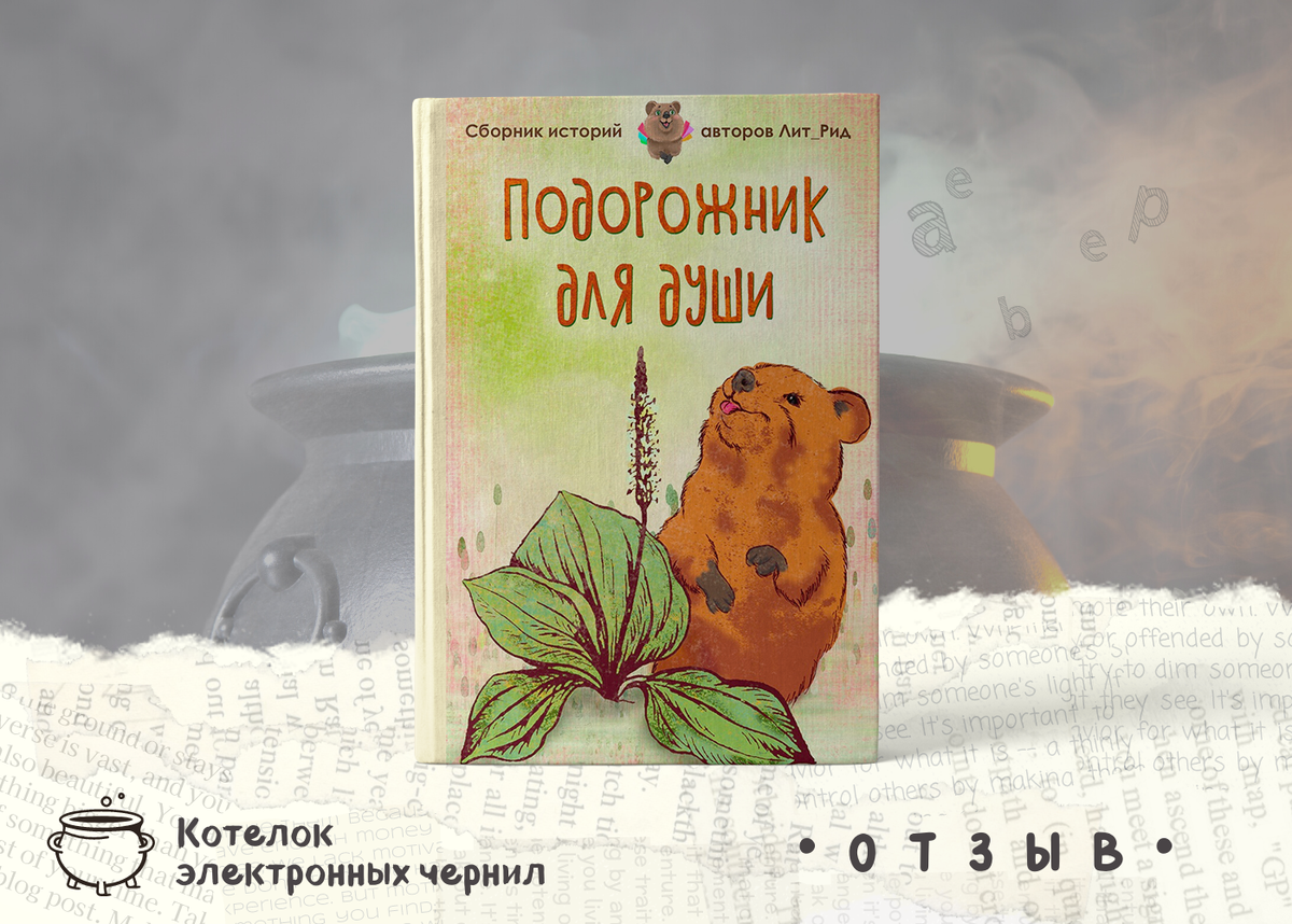 Отзыв по рассказу по дороге. Сборник подорожник. Сборник стихов «подорожник». Сборник «подорожник» произведение. Подорожники сборник Рубцова.