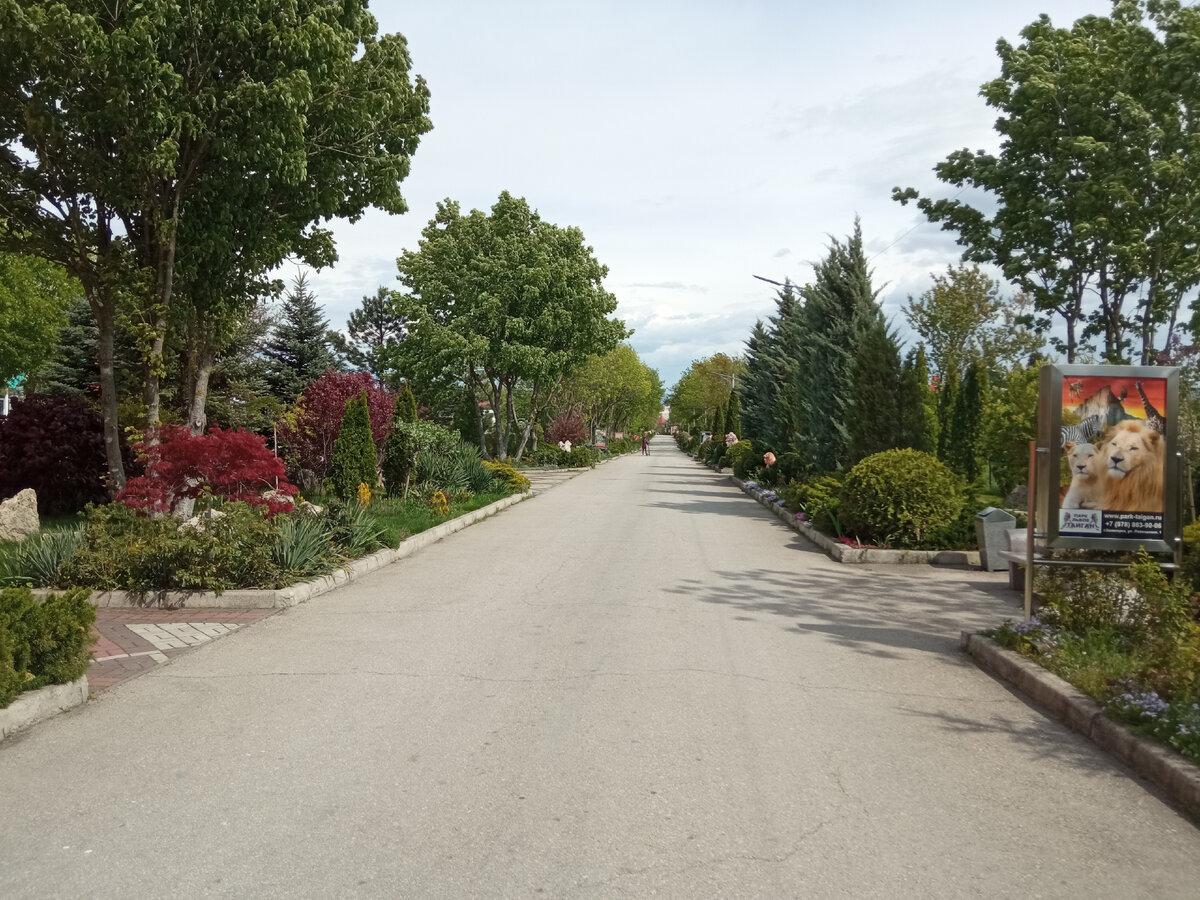 Центральная аллея. Тайган. Фото автора