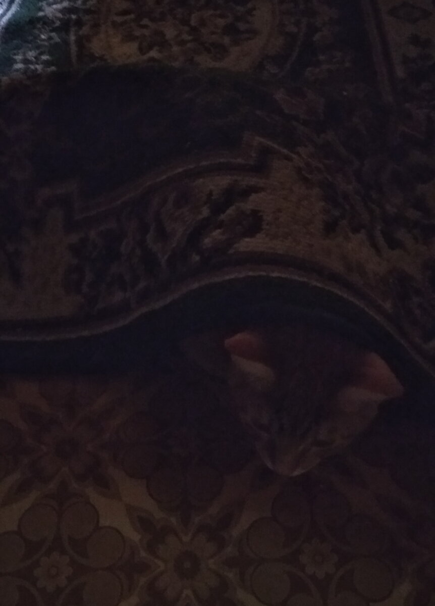 Личное  фото.