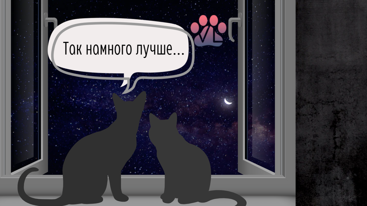 Не позволяйте своим кошкам выпрыгивать в окно: используйте антикошки, или держите их закрытыми (приоткрытыми на безопасные 3 см)