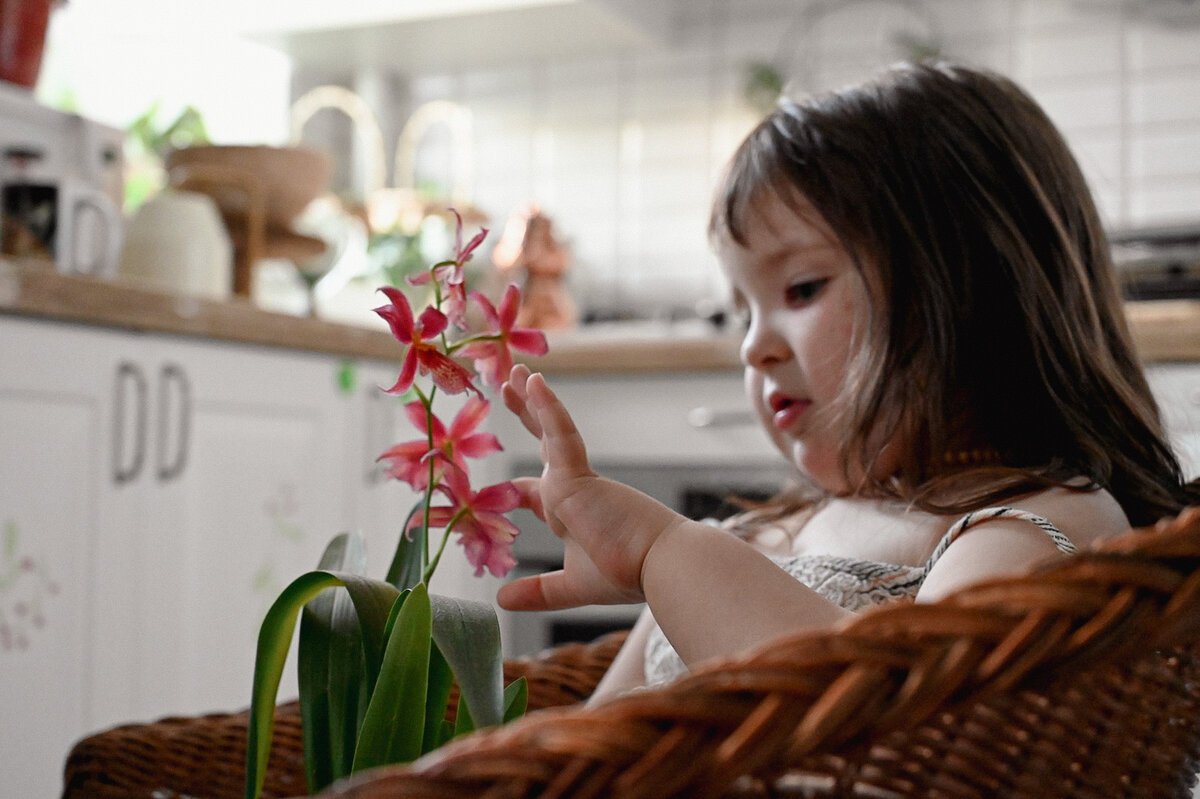 #романтика #назакате #любовь #красивыеслова 