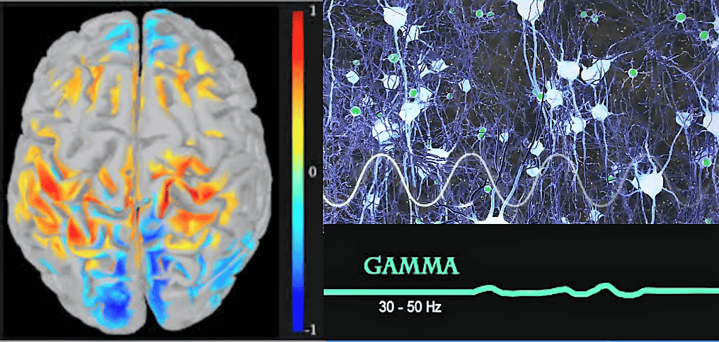 Ритмы мозга. Мозг Альфа бета гамма волны. Ритмы головного мозга. Гамма ритмы головного мозга. Гамма частота мозга.