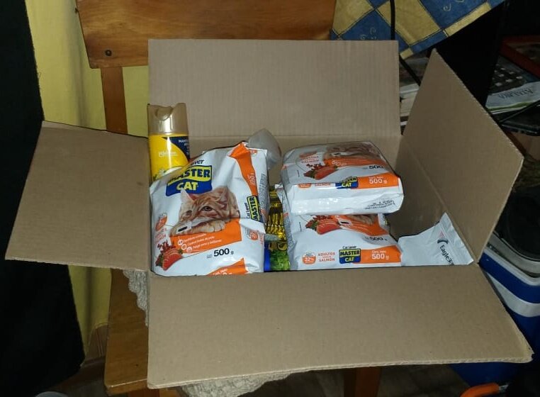 Корм для котов, который купили соседи