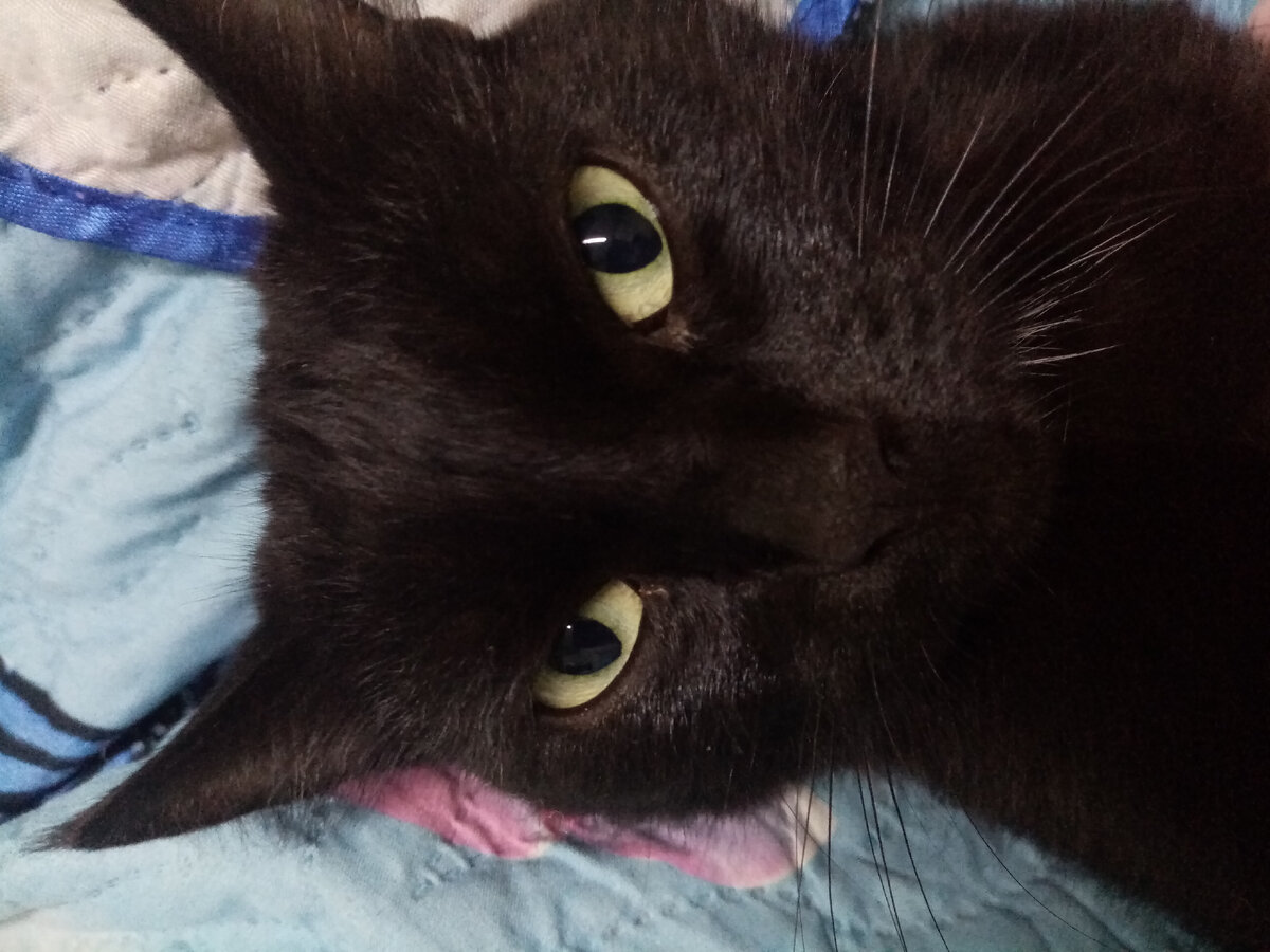 Я на вас весь год со сковородкой работала и теперь я хочу отдыхать!