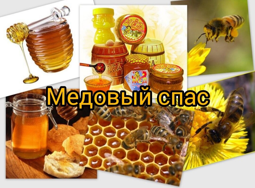 Продукция пчел. Продукты пчеловодства. Пчелы продукты пчеловодства. Пчелы и мед. Мёд и продукты пчеловодства.