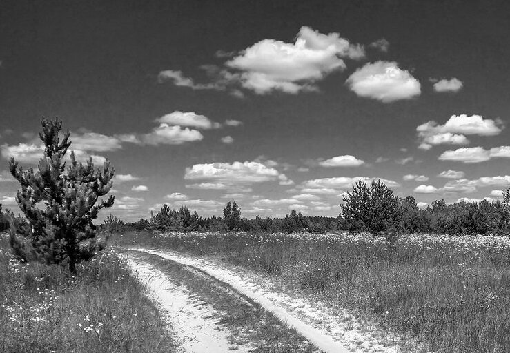 Сельская дорога.