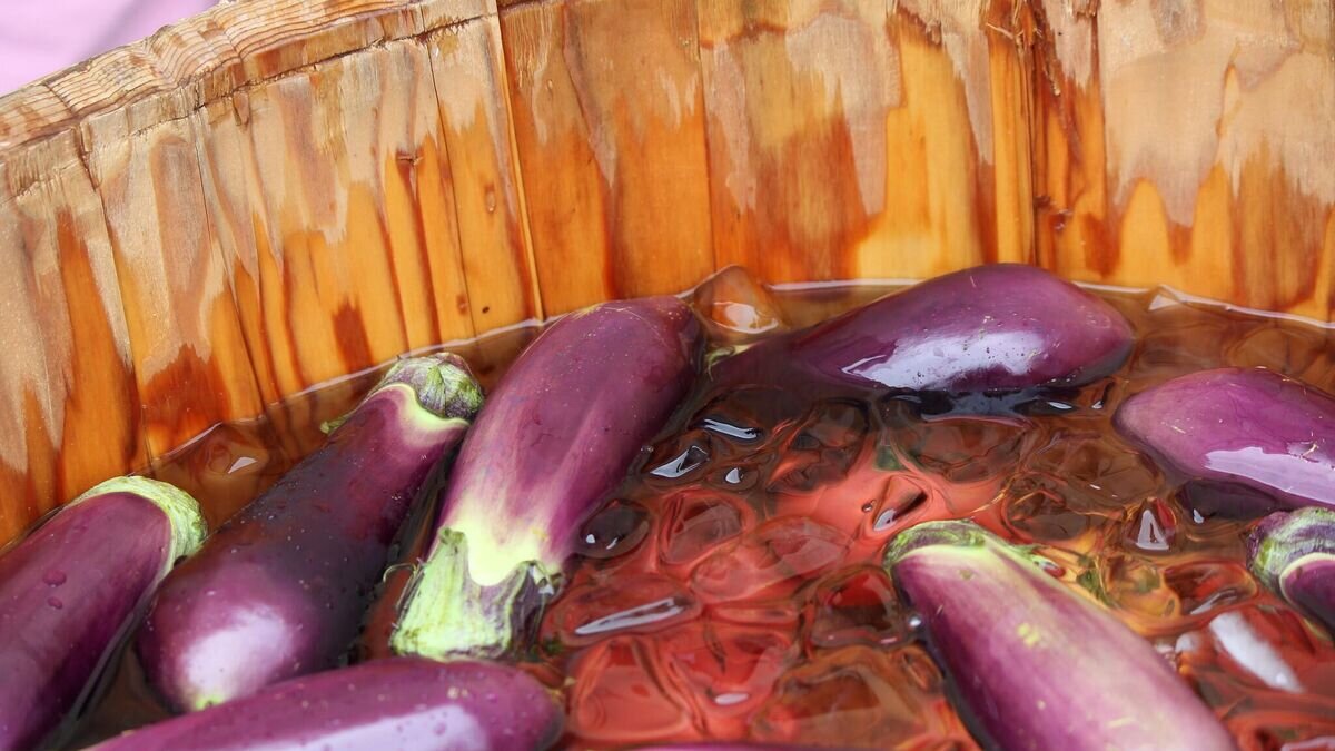    БаклажаныCC BY 2.0 / miya-aki / Eggplant