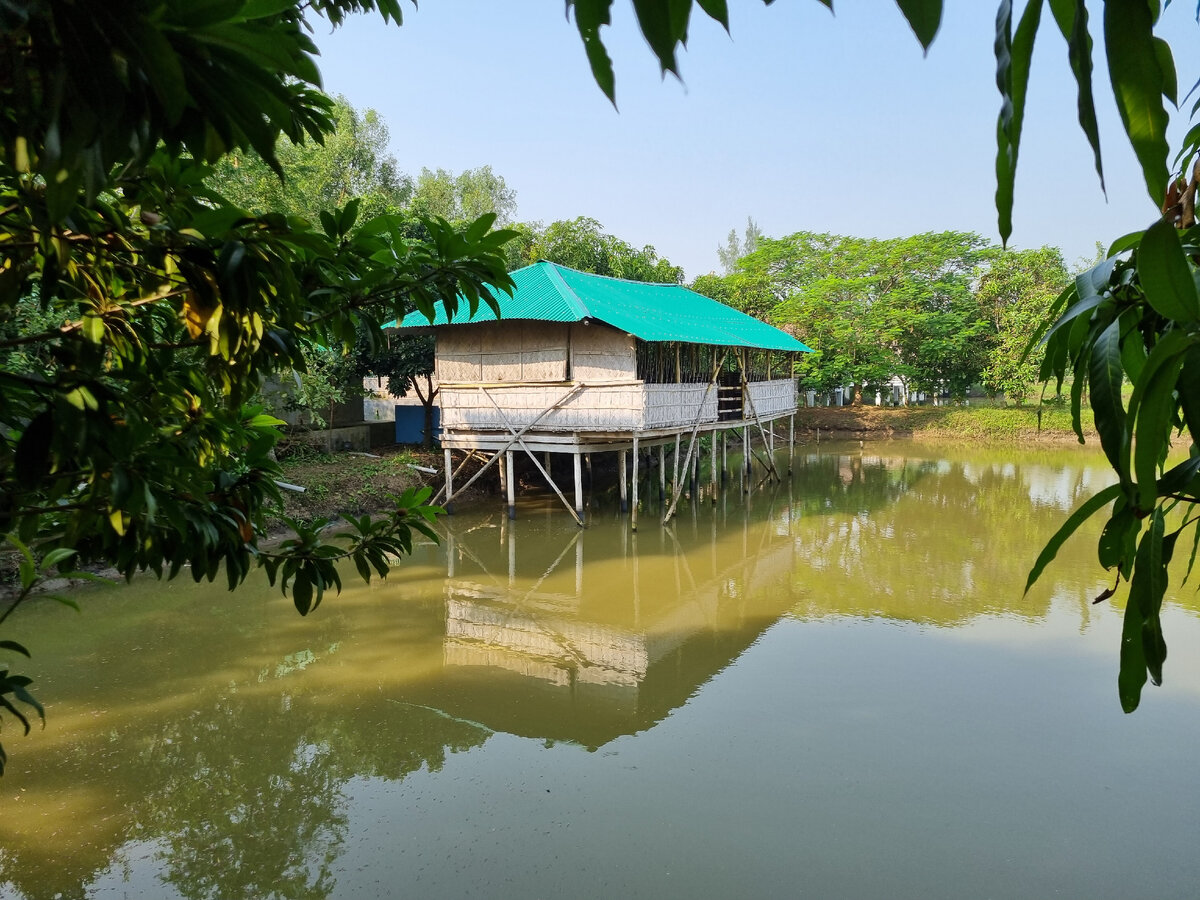 Ресторан в доме на сваях, утро следующего дня "Rainbow Eco Resort", Монгла, Бангладеш 