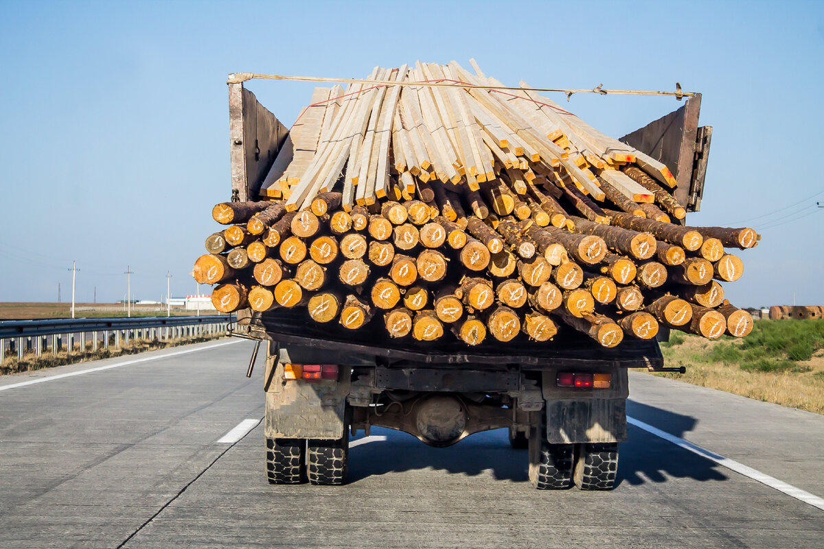 Дрова/Fotolia/kvdkz 