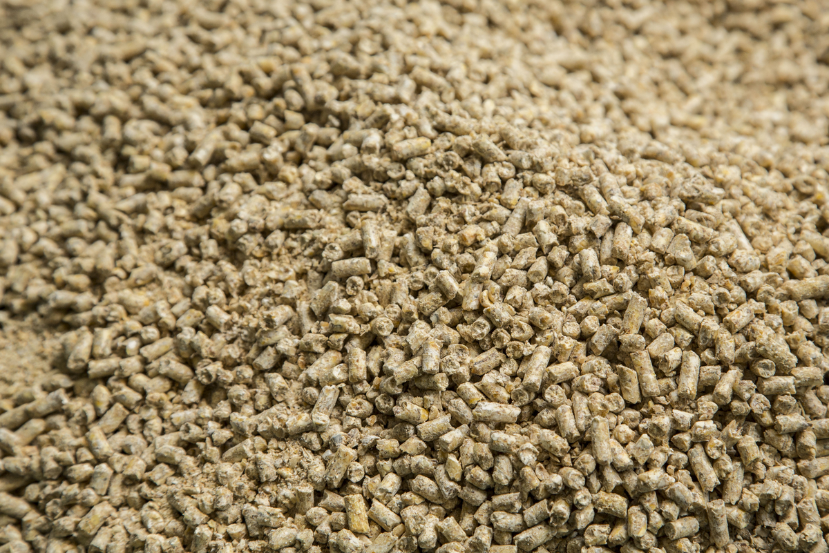 гранулы корма