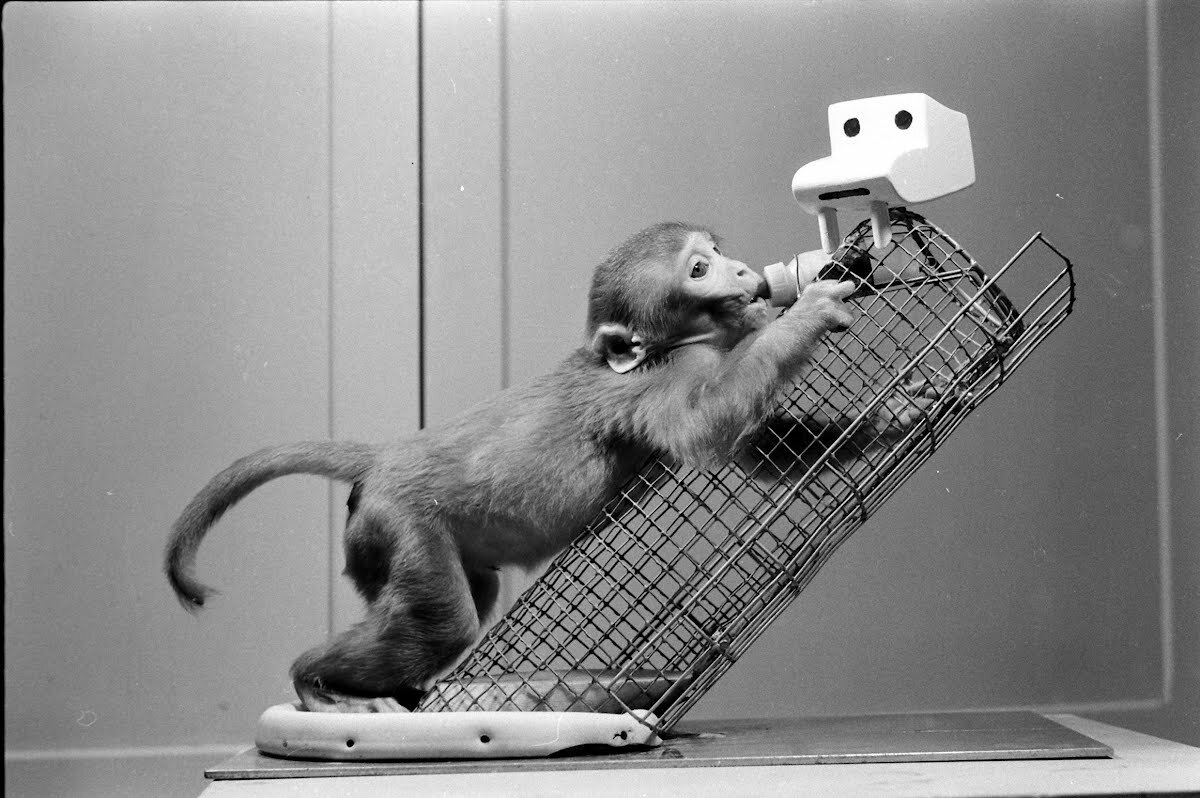 Эксперимент с железной матерью