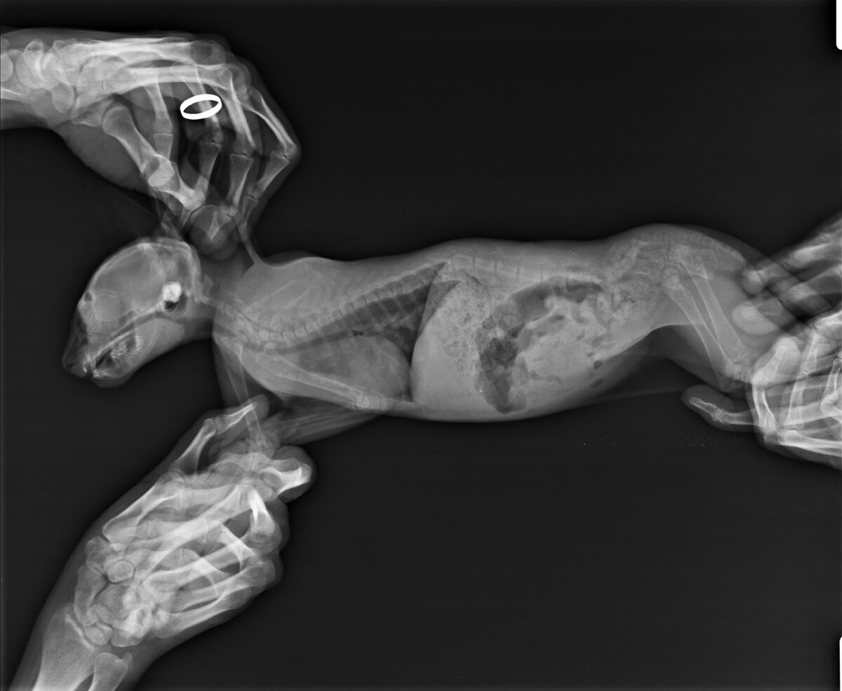 Фото из личного архива.