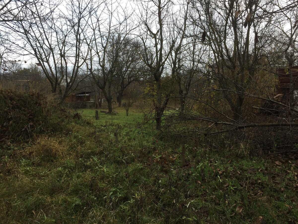 Фото из личного архива.