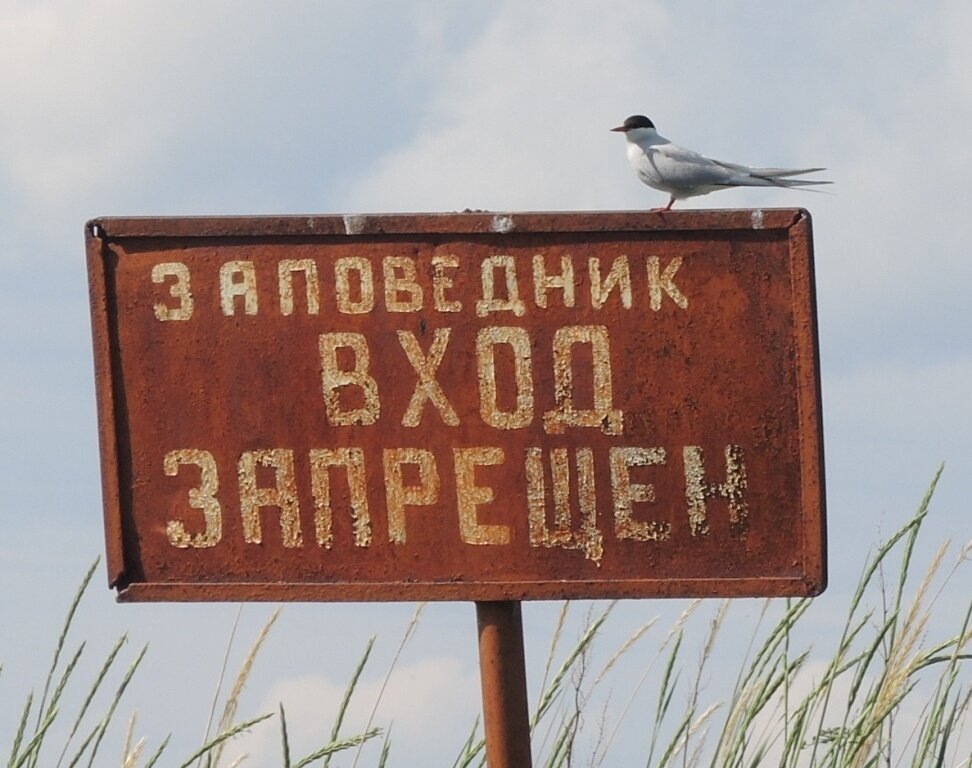 Что за предмет такой - аншлаг (Петросян с Дубовицкой нервно стоят в сторонке)