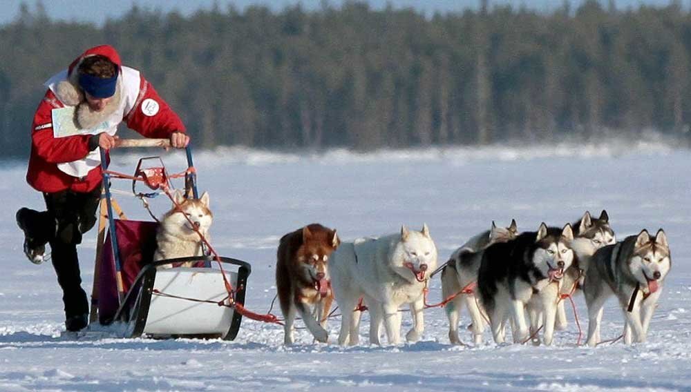 А это уже для профи ;) (шутка)