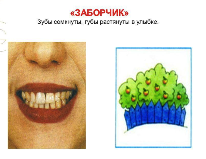 Картинки артикуляционная гимнастика бублик