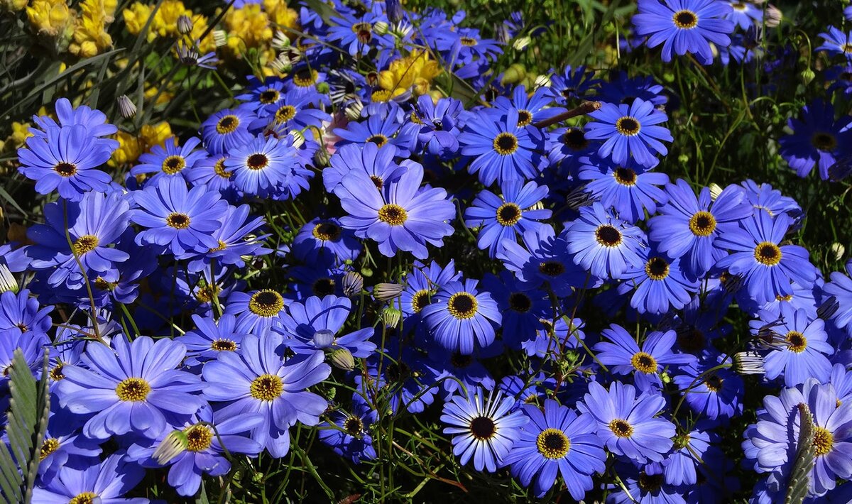 Источник фото: mydesktopdaily.blogspot.com