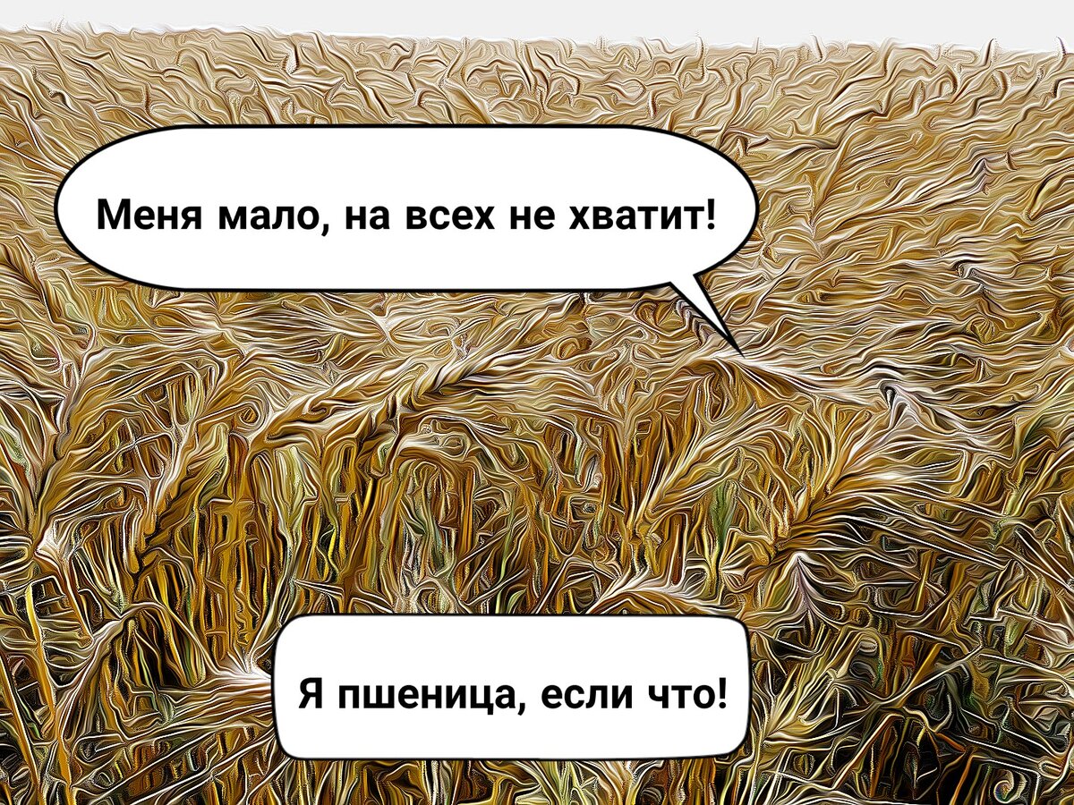 Колосись, пока не рожь! 