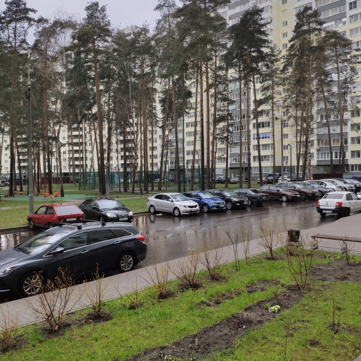 наша утренняя погода
